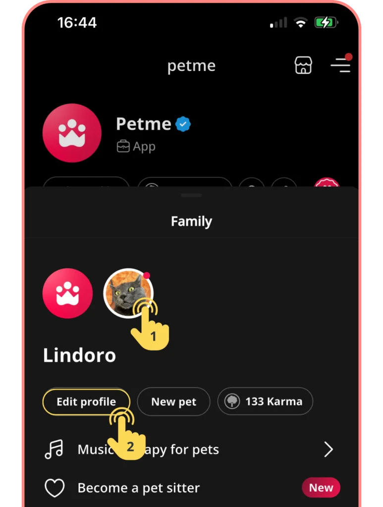 Screenshot of Petme app family page. Cat Lindoro's profile picture with a yellow hand icon. 'Edit profile' button highlighted.