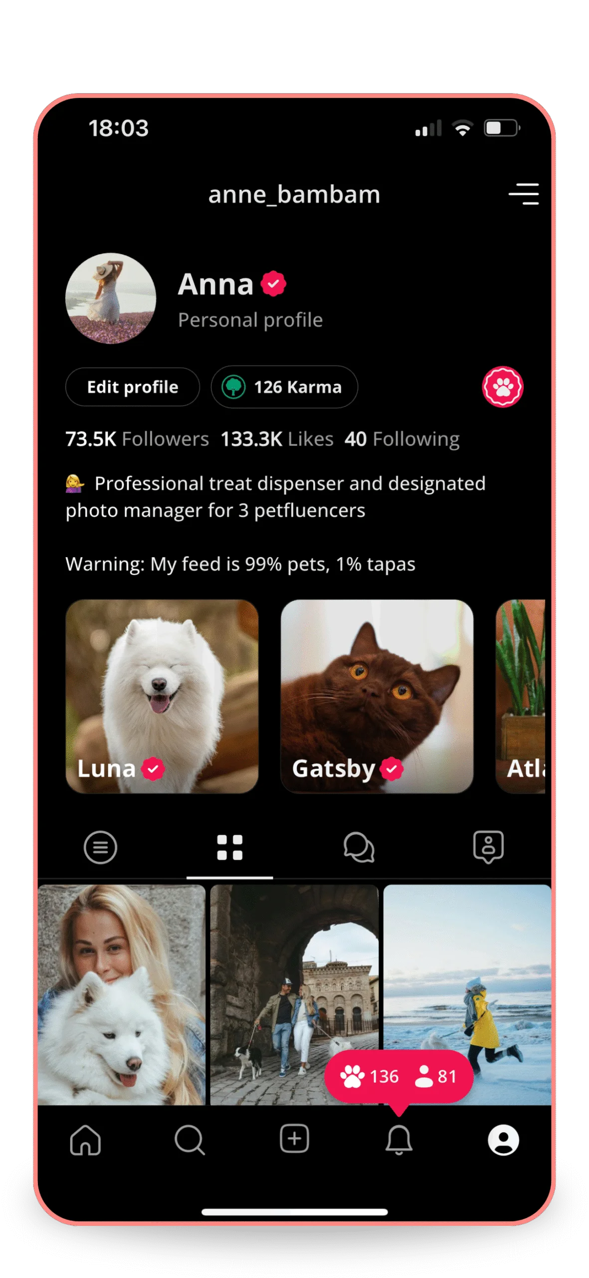 Screenshot of Anna's profile on Petme app. Features pets Luna, Gatsby, Atti. 73.5K followers, 126 Karma. Shows 136 new posts.