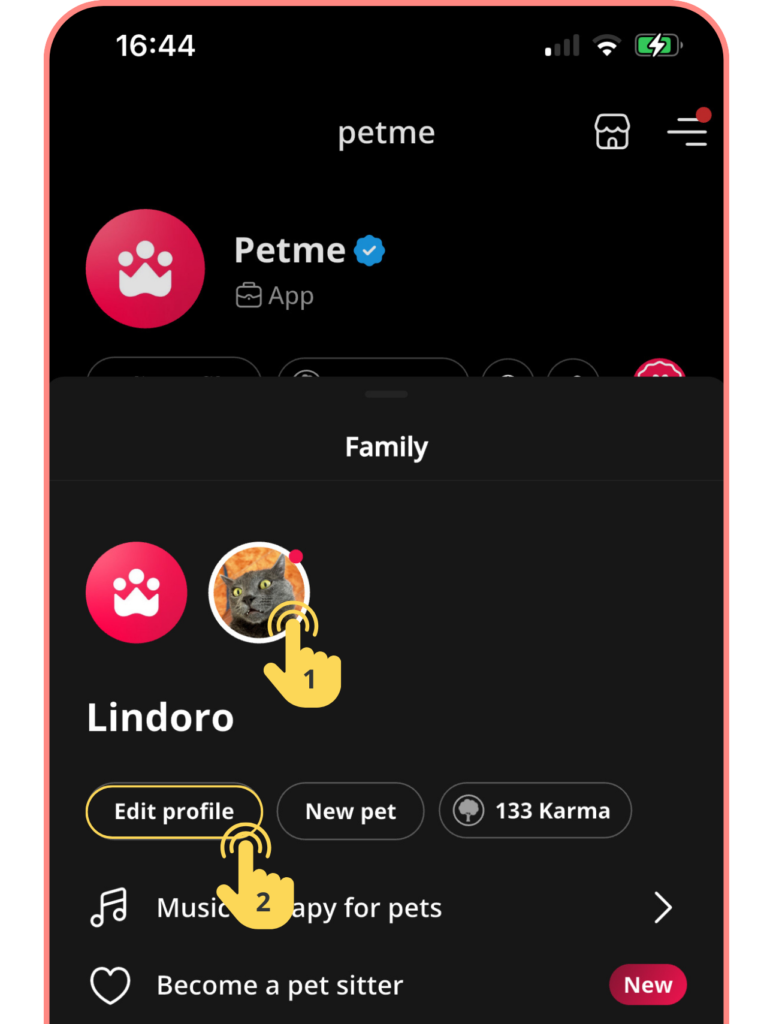 Screenshot of Petme app family page. Cat Lindoro's profile picture with a yellow hand icon. 'Edit profile' button highlighted.