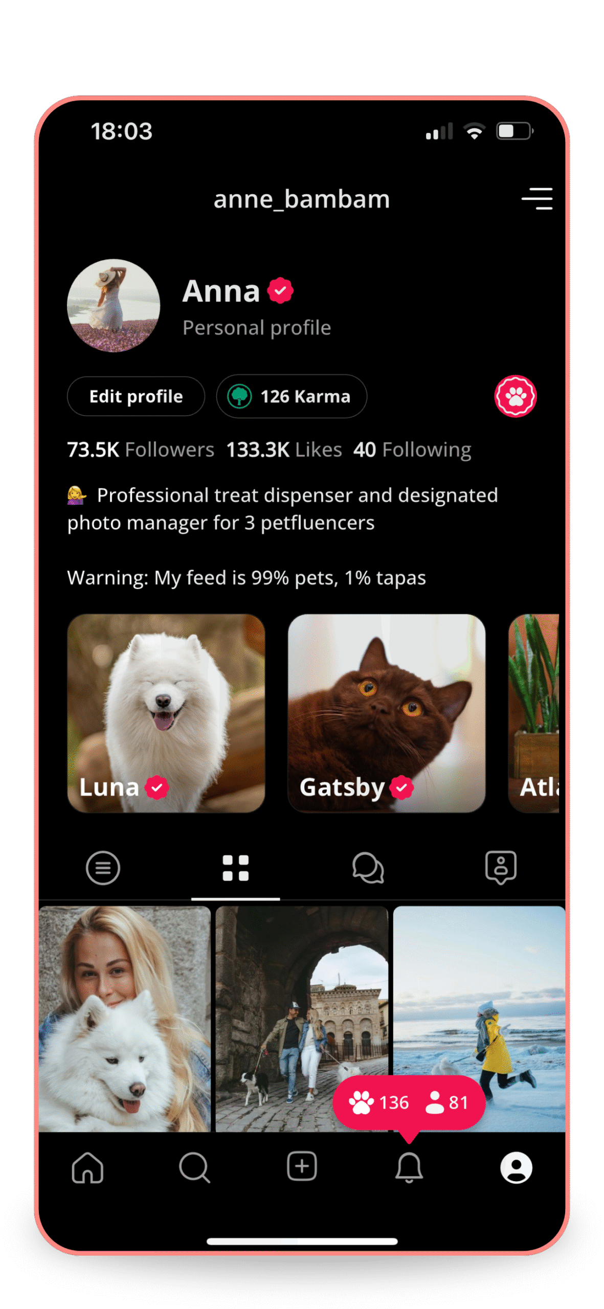 Screenshot of Anna's profile on Petme app. Features pets Luna, Gatsby, Atti. 73.5K followers, 126 Karma. Shows 136 new posts.